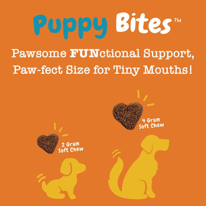 Zesty Paws Multivitamin Treats for Dogs, Glucosamine Chondroitin Joint Support + Digestive Enzymes & Probiotics, Grain Free Dog Vitamins and Supplements for Skin & Coat, Peanut Butter - 90ct