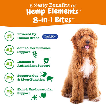 Zesty Paws Multivitamin Treats for Dogs, Glucosamine Chondroitin Joint Support + Digestive Enzymes & Probiotics, Grain Free Dog Vitamins and Supplements for Skin & Coat, Peanut Butter - 90ct