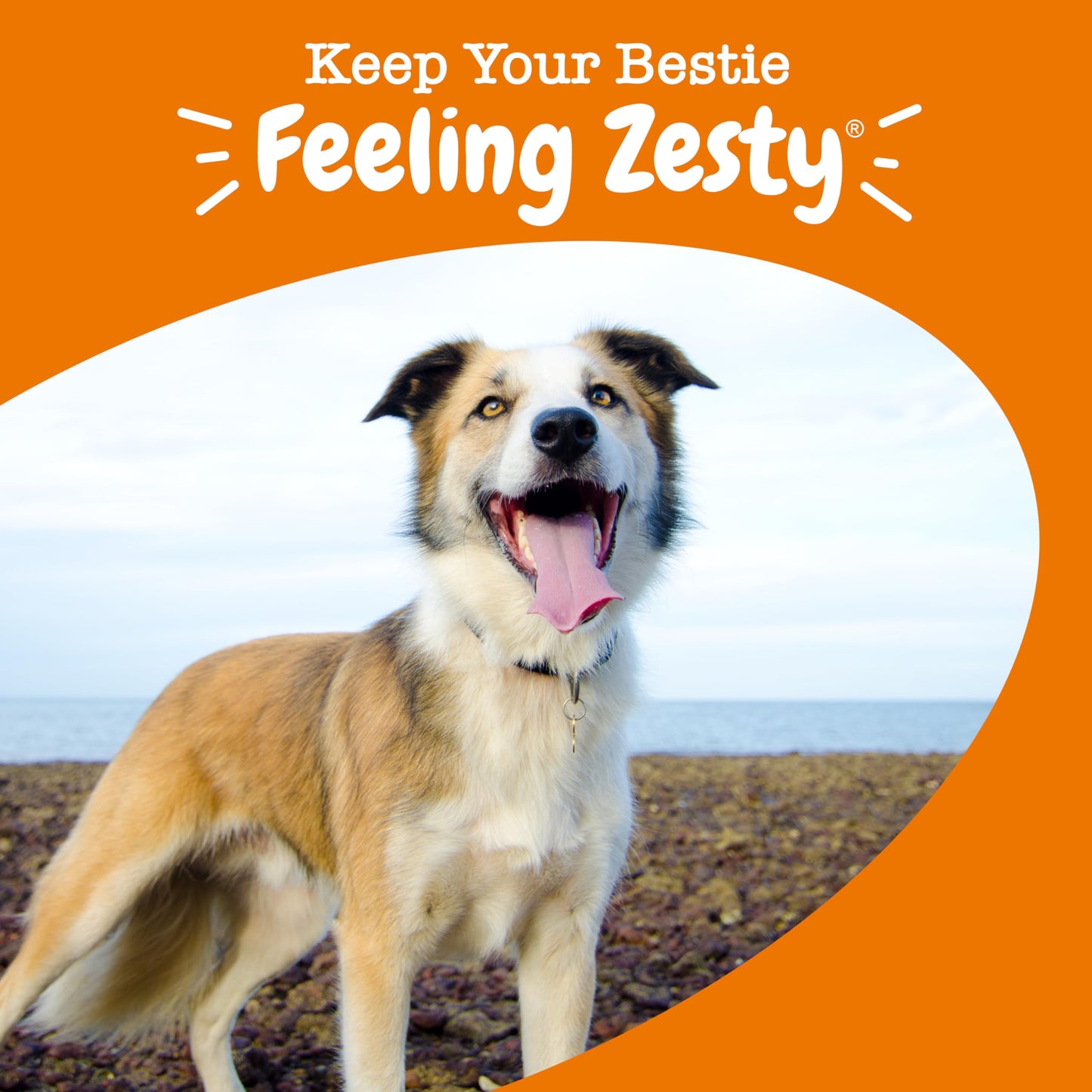 Zesty Paws Multivitamin Treats for Dogs, Glucosamine Chondroitin Joint Support + Digestive Enzymes & Probiotics, Grain Free Dog Vitamins and Supplements for Skin & Coat, Peanut Butter - 90ct
