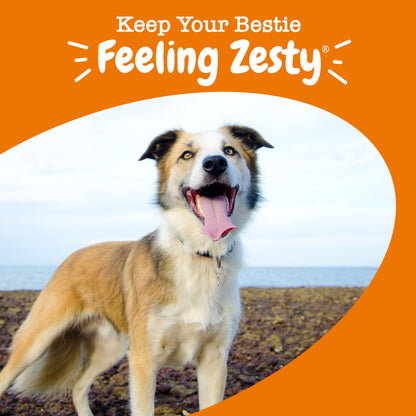 Zesty Paws Multivitamin Treats for Dogs, Glucosamine Chondroitin Joint Support + Digestive Enzymes & Probiotics, Grain Free Dog Vitamins and Supplements for Skin & Coat, Peanut Butter - 90ct