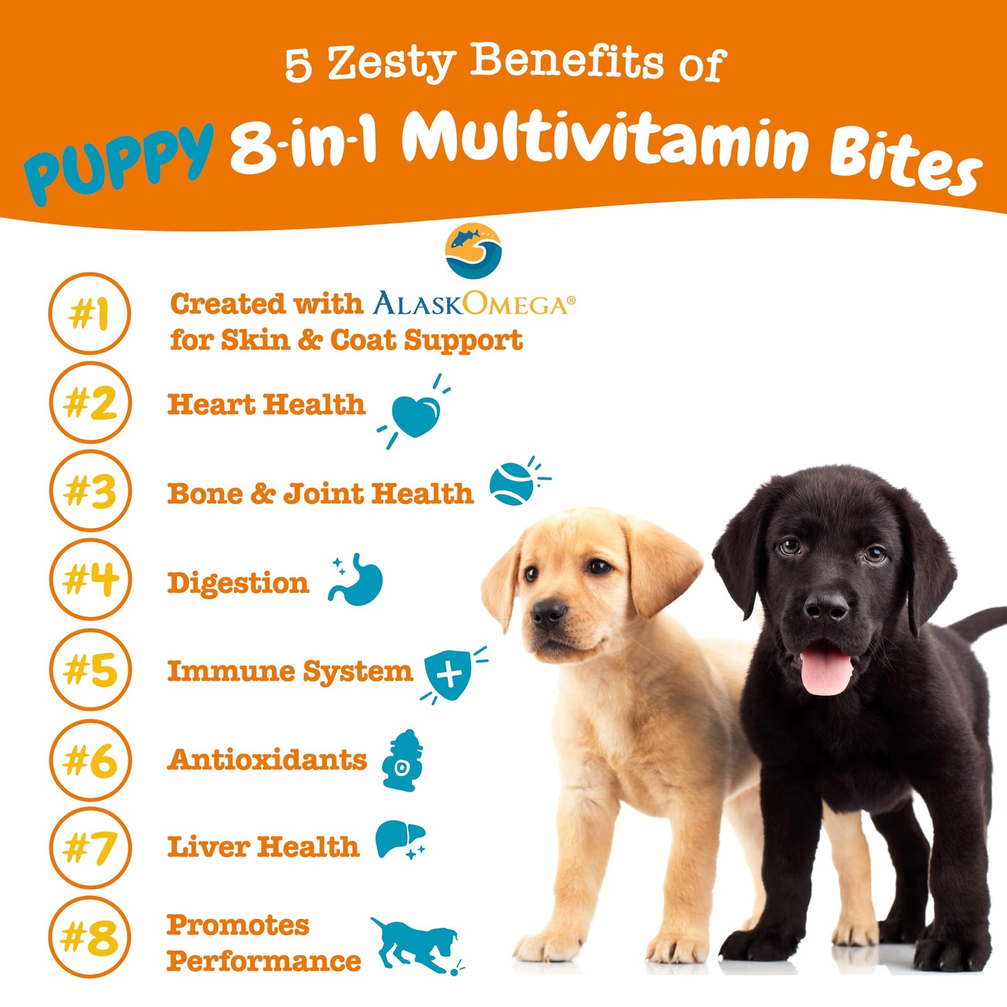 Zesty Paws Multivitamin Treats for Dogs, Glucosamine Chondroitin Joint Support + Digestive Enzymes & Probiotics, Grain Free Dog Vitamins and Supplements for Skin & Coat, Peanut Butter - 90ct