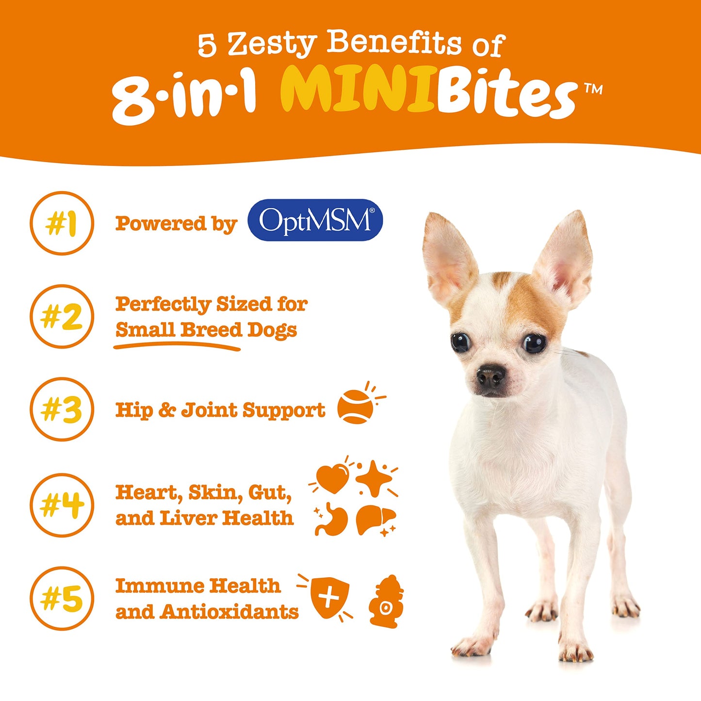 Zesty Paws Multivitamin Treats for Dogs, Glucosamine Chondroitin Joint Support + Digestive Enzymes & Probiotics, Grain Free Dog Vitamins and Supplements for Skin & Coat, Peanut Butter - 90ct