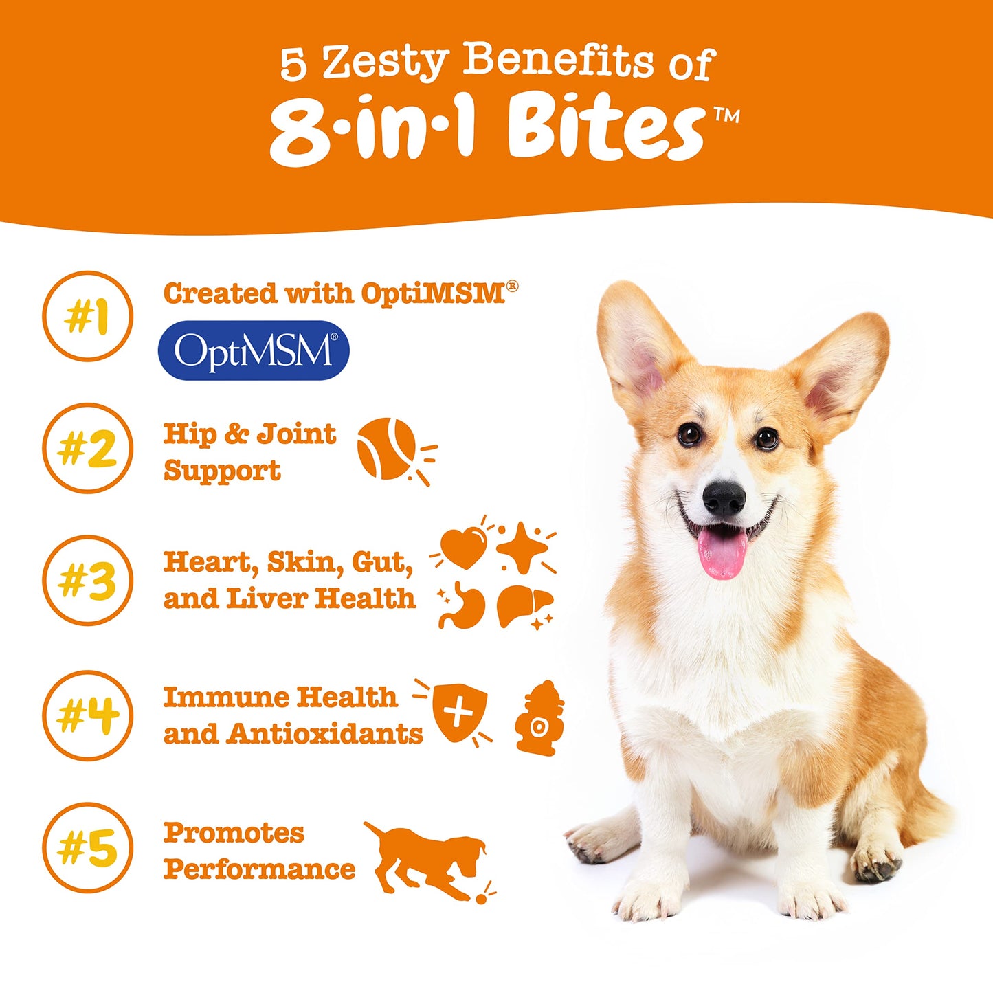 Zesty Paws Multivitamin Treats for Dogs, Glucosamine Chondroitin Joint Support + Digestive Enzymes & Probiotics, Grain Free Dog Vitamins and Supplements for Skin & Coat, Peanut Butter - 90ct