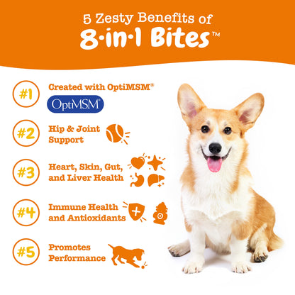 Zesty Paws Multivitamin Treats for Dogs, Glucosamine Chondroitin Joint Support + Digestive Enzymes & Probiotics, Grain Free Dog Vitamins and Supplements for Skin & Coat, Peanut Butter - 90ct