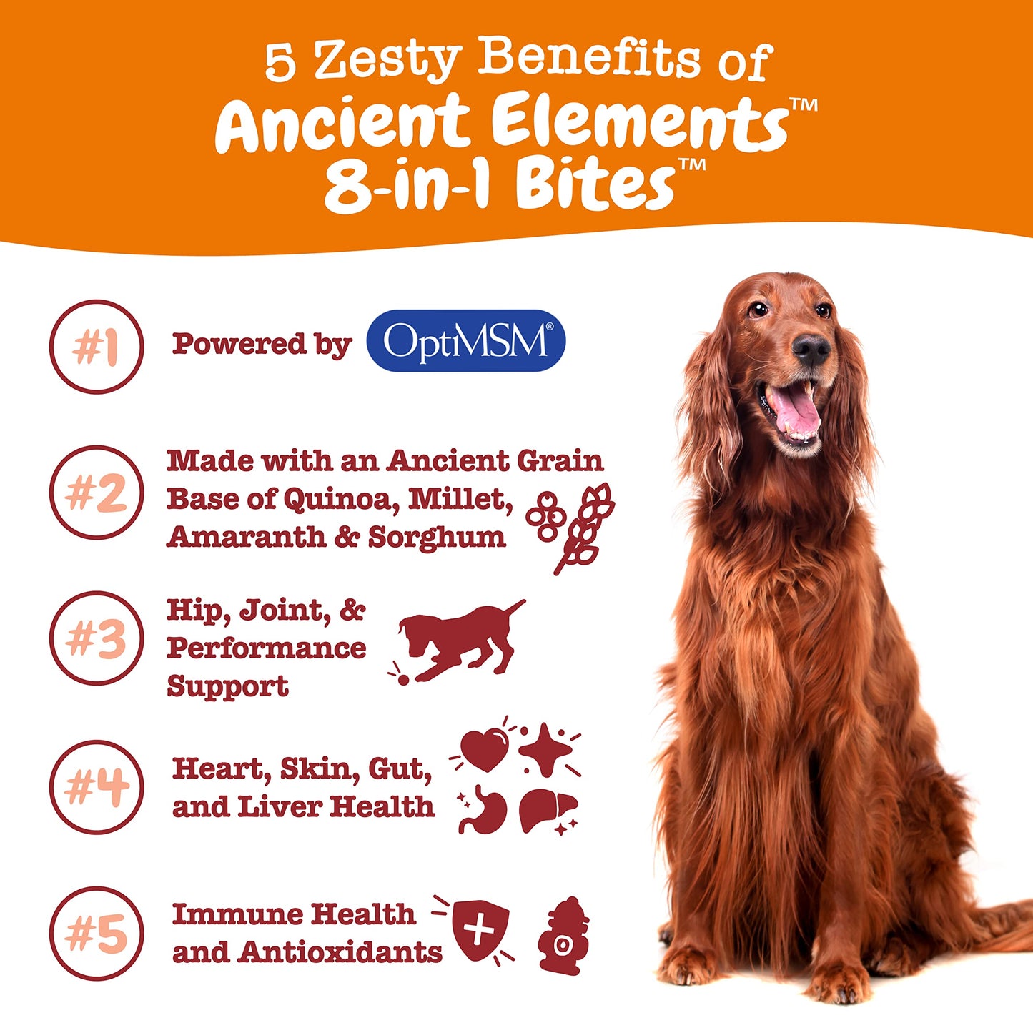 Zesty Paws Multivitamin Treats for Dogs, Glucosamine Chondroitin Joint Support + Digestive Enzymes & Probiotics, Grain Free Dog Vitamins and Supplements for Skin & Coat, Peanut Butter - 90ct