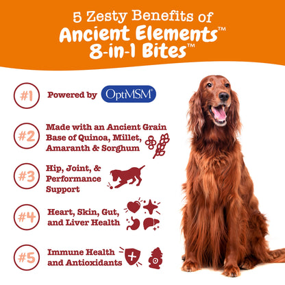 Zesty Paws Multivitamin Treats for Dogs, Glucosamine Chondroitin Joint Support + Digestive Enzymes & Probiotics, Grain Free Dog Vitamins and Supplements for Skin & Coat, Peanut Butter - 90ct