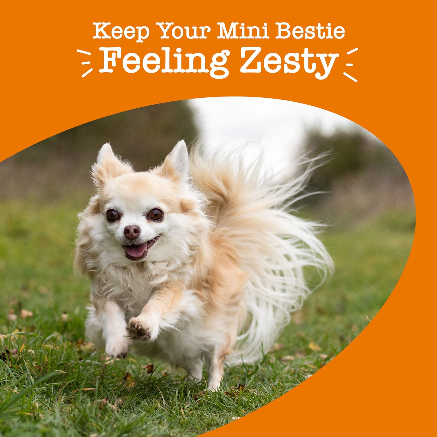 Zesty Paws Multivitamin Treats for Dogs, Glucosamine Chondroitin Joint Support + Digestive Enzymes & Probiotics, Grain Free Dog Vitamins and Supplements for Skin & Coat, Peanut Butter - 90ct